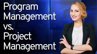 Program Management vs. Projects (PMI - PgMP & PMP Primer) Program Manager Role