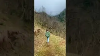 никто ничего не знает