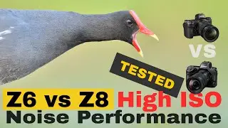 Nikon Z6 vs Nikon Z8 High ISO Noise Performance Tested