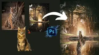 Speed Art Photoshop Manipulation