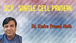SCP : Single Cell Protein