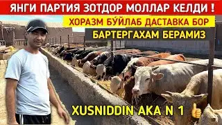 ХУСНИДДИН АКА ЯНГИ ПАРТИЯ МОЛЛАР КЕЛДИ БАРТЕРГАХАМ БЕРАМИЗ ХОРАЗМ БУ́ЙЛАБ ДАСТАВКА !!! ХОРАЗМ БОЗОР
