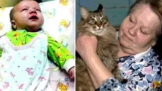 Кошка спасла умирающего младенца в подвале