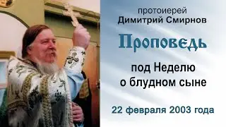 Проповедь под Неделю о блудном сыне (2003.02.22). Протоиерей Димитрий Смирнов