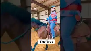 English Vs. Western Horse Riders! 