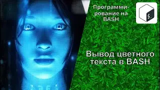 How to color BASH. Font color codes and background colors for BASH scripts.