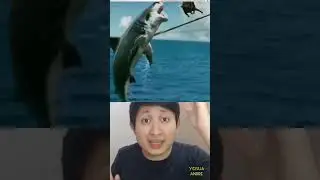 JANTUNG COWOK TERPOTONG SAAT TANGKAP IKAN HIU PAKAI BABI HUTAN | Yosua Andre 