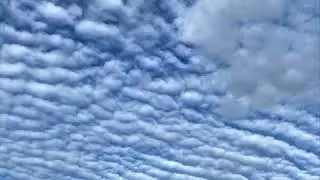 Шавасана