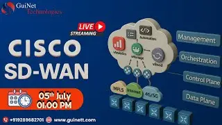 Cisco SDWAN: VPN0 Configuration and Transport MPLS and Public Internet Configuration 