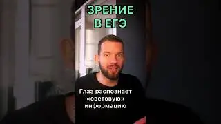 Зрение в ЕГЭ по биологии