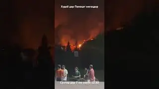 Срочно Сухтор Дар Шахри Душанбе дар 7 километр пах