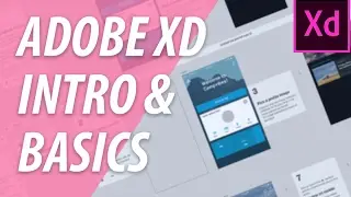 Adobe XD Intro & Basics | XO PIXEL