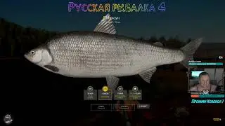 Постучал в Бубен и трофей Муксуна клюнул!Русская Рыбалка 4 !