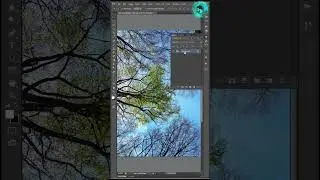 Remove Sky  | Background Remove #shorts