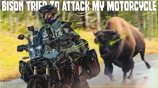 Yellowstone NATIONAL PARK: Bison Tried to attack my motorcycle | EP 3