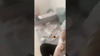 #𝙇𝙞𝙩𝙩𝙡𝙚𝙖𝙣𝙜𝙚𝙡𝙡