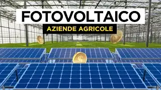 Aziende AGRICOLE e FOTOVOLTAICO: come abbattere i costi? | RiESCo