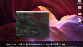 Execute bash Commands on Heroku Cloud