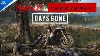 Days Gone (Жизнь после) Прохождение #21