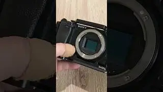 Why DSLRs Trump Mirrorless Cameras 