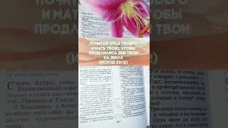 Почитай отца и мать👫Притчи 
