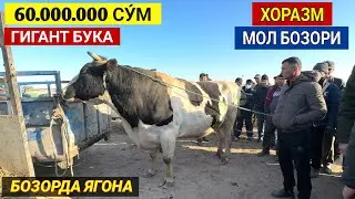 ХОРАЗМ МОЛ БОЗОРИ 10-МАРТ ГИГАНТ БУКА ЧИКДИ 60 МИЛИОН СУ́М МОЛ КУ́П БУГУН !!! ХОРАЗМ БОЗОР