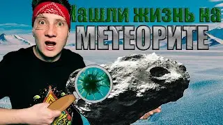 Метеорит Со Следами Жизни