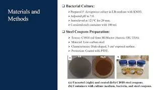 Effect of Pseudomonas Aeruginosa on Corrosion of C1018 Carbon Steel under the Influence of the T