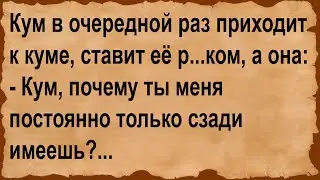 Кум в очередной раз приходит к куме... Сборник анекдотов!