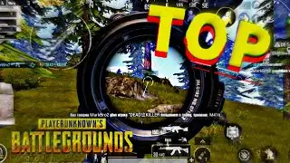 Заняли топ 1! Ливик Грозная флора PUBG MOBILE! (MarkBro2)