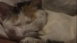 Деревенские выживальщики Урала