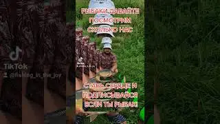 РЫБАЛКА НАШЕ ВСЕ!