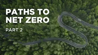Sustainability: Drivers, Carbon Calculation, and ROI