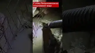 С затопленных улиц Петропавловска откачивают воду
