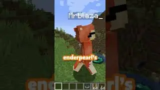 minecraft's most EFFICIENT bridge! 