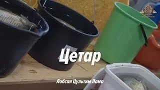Ритуал Цетар