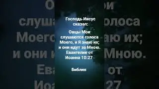 Овцы Мои слушаются голоса Моего, и Я знаю их; и они идут за Мною.Евангелие от Иоанна 