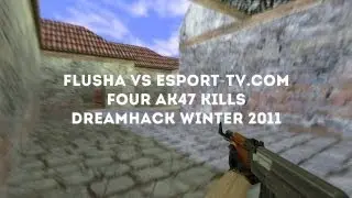 DreamHack Winter 2011: flusha vs ESPORT-TV.COM