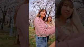 NGEFOTOIN CEWEK JEPANG DIBAWAH POHON SAKURA 🌸🇯🇵 