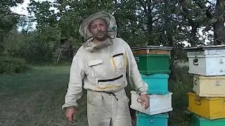 ОБСУШКА РАМОК