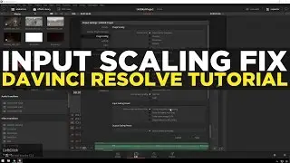 Fix XML Input Scaling Problem - Davinci Resolve Tutorial