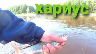 Рыбалка на хариуса. река Косьва.