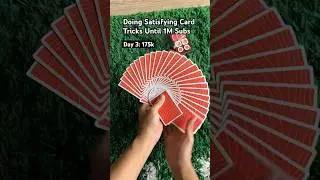 Satisfying Card Tricks Until 1M Subs (DAY 3)