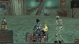 Некр после обновы. Первый взгляд [Lineage 2 Classic]