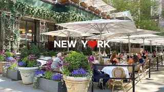 [4K]🇺🇸 Midtown Manhattan Spring Walk :🌸🌹5th Avenue Blooms, Bryant Park, Times Square / May. 2024