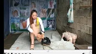 Lady before after slaughtering pigs