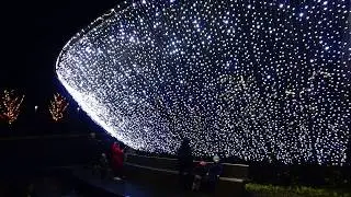 Ночной парк Галицкого 