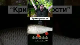 Трофейный голавль 🐟 Русская Рыбалка 4 #рыбалка #fishing #рыба