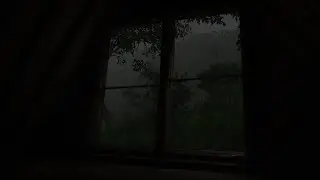 Rainforest Serenity: Ambient Rain Sounds for Stress Relief
