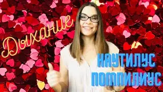 ДЫХАНИЕ - Наутилус Помпилиус - караоке + кавер от Орлеаны // Пою вместе с Орлеаной